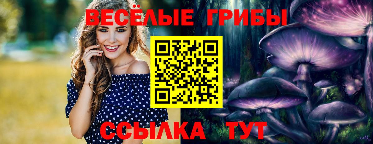 Галлюциногенные грибы Psilocybe  Вход с VPN  Сальск 